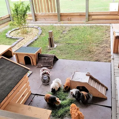 Daire Gutshaus U2 Fehmarn